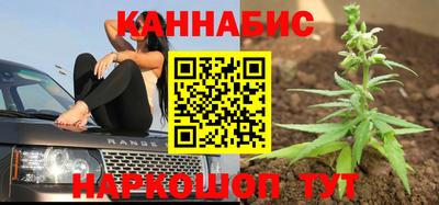гидра Кимры